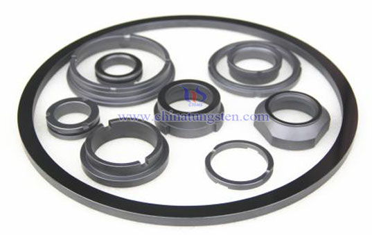 Silicon Carbide Seals Picture